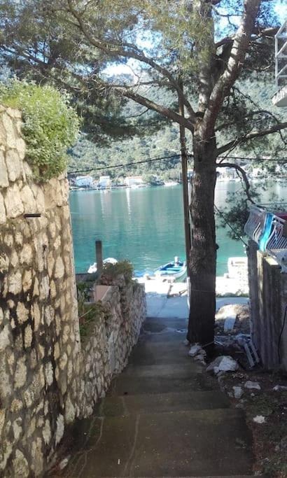 Apartman Nikki II Maranovici Luaran gambar